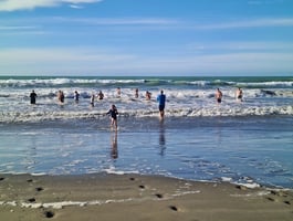 Mid winter swimmers